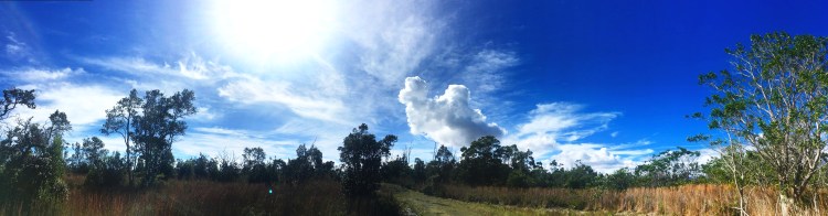 kilauea-pano-20181107-davidelias-4089x1072